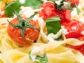 Pasta Collection - Fettucini with tomatoes, basil and mozarella Royalty Free Stock Photo