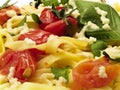 Pasta Collection - Fettucini with tomatoes, basil and mozarella Royalty Free Stock Photo