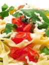 Pasta Collection - Fettucini with tomatoes, basil and mozarella Royalty Free Stock Photo