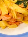 Pasta Collection - Tagliatelle with Salmon, Basil and Dried Tomatoes