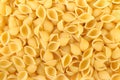 Pasta Conchiglie Royalty Free Stock Photo