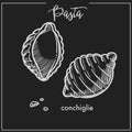 Pasta Conchiglie shell chalk sketch for Italian cuisine menu or packaging design on black background