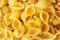 Pasta Conchiglie Rigate seashells as background. Royalty Free Stock Photo