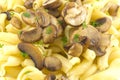 Pasta Dish Gigli Con Funghi Royalty Free Stock Photo