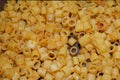 Pasta ditalini background Royalty Free Stock Photo
