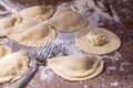 Home made pasta dumplings called pirogi