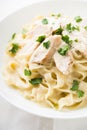 Pasta fettuccine alfredo with chicken, parmesan and parsley on white background close up Royalty Free Stock Photo