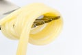 Pasta on a fork Royalty Free Stock Photo