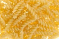 Pasta fusili Royalty Free Stock Photo