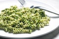 pasta fussili with spinach Royalty Free Stock Photo