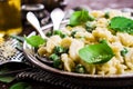 Pasta galletti with peas Royalty Free Stock Photo