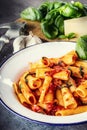 Pasta. Italian and Mediterrannean cuisine. Pasta Rigatoni with tomato sauce basil leaves garlic and parmesan cheese. Royalty Free Stock Photo