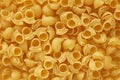 Pasta lumache background Royalty Free Stock Photo