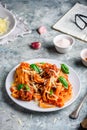 Pasta with mini meatballs Royalty Free Stock Photo