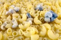 Pasta with mold Royalty Free Stock Photo