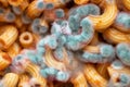 Pasta with mold, spoiled pasta close-up, green mold Royalty Free Stock Photo