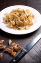 Pasta orecchiette with walnuts and herbs Royalty Free Stock Photo