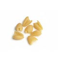 Pasta, Original Italian Pasta of `Gnocchetti` Type