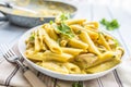 Pasta pene with chicken pieces mushrooms parmesan cheese sauce a Royalty Free Stock Photo