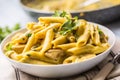 Pasta pene with chicken pieces mushrooms parmesan cheese sauce a Royalty Free Stock Photo