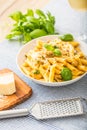 Pasta penne with chicken pieces mushrooms basil parmesan cheese and white wine. Italian food in white plate on kitchen Royalty Free Stock Photo