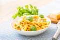 Pasta penne with chicken pieces mushrooms basil parmesan cheese and white wine. Italian food in white plate on kitchen Royalty Free Stock Photo