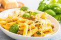 Pasta penne with chicken pieces mushrooms basil parmesan cheese and white wine. Italian food in white plate on kitchen Royalty Free Stock Photo