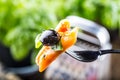 Pasta Penne with Tomato Bolognese Sauce, Parmesan Cheese black olive and Basil on a Fork. Mediterranean food.Italian cuisine Royalty Free Stock Photo