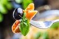 Pasta Penne with Tomato Bolognese Sauce, Parmesan Cheese black olive and Basil on a Fork. Mediterranean food.Italian cuisine Royalty Free Stock Photo