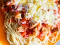 Pasta with pieces of chicken and tomatoes on a white plate. Spaghetti with tomato sauce and pieces of chicken or turkey. Italian Royalty Free Stock Photo