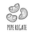 Pasta pipe rigate. Vector vintage engraving black illustration