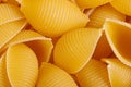 Pasta products in the form of a shell, texture