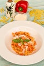 Pasta with red pepper sauce Royalty Free Stock Photo