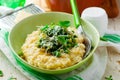 Pasta risotto with spring vegetables Royalty Free Stock Photo