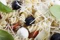 Pasta Salad Close Royalty Free Stock Photo