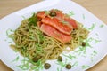 Pasta with salmon Royalty Free Stock Photo