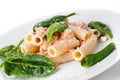 Pasta with salmon and spinach Royalty Free Stock Photo