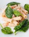 Pasta with salmon and spinach Royalty Free Stock Photo