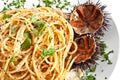 Pasta with sea urchin Royalty Free Stock Photo