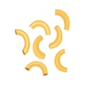 Pasta sedanini rigati. Restaurant delicious menu icon. Raw macaroni. Italian cuisine, wheat flour product. Vector