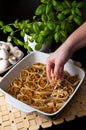 Pasta shells conchiglioni stuffed with meat Royalty Free Stock Photo