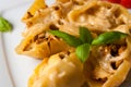 Pasta shells conchiglioni stuffed with meat Royalty Free Stock Photo