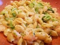Pasta shells in white alfredo sauce with broccoli and shrimp Royalty Free Stock Photo