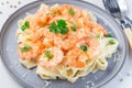 Pasta with shrimps in creamy parmesan cheese and garlic sauce garnished with parsley, fettucini alfredo, horizontal, closeup