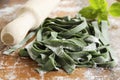 pasta spinach Royalty Free Stock Photo