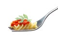 Pasta And Tomato Sauce Royalty Free Stock Photo