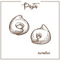 Pasta Tortellini chalk sketch icon for Italian cuisine menu.