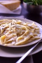 Pasta with vegetable sauce Royalty Free Stock Photo