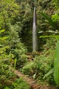 Pastaza Waterfall Royalty Free Stock Photo