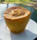 Pasteis de laranja. Royalty Free Stock Photo